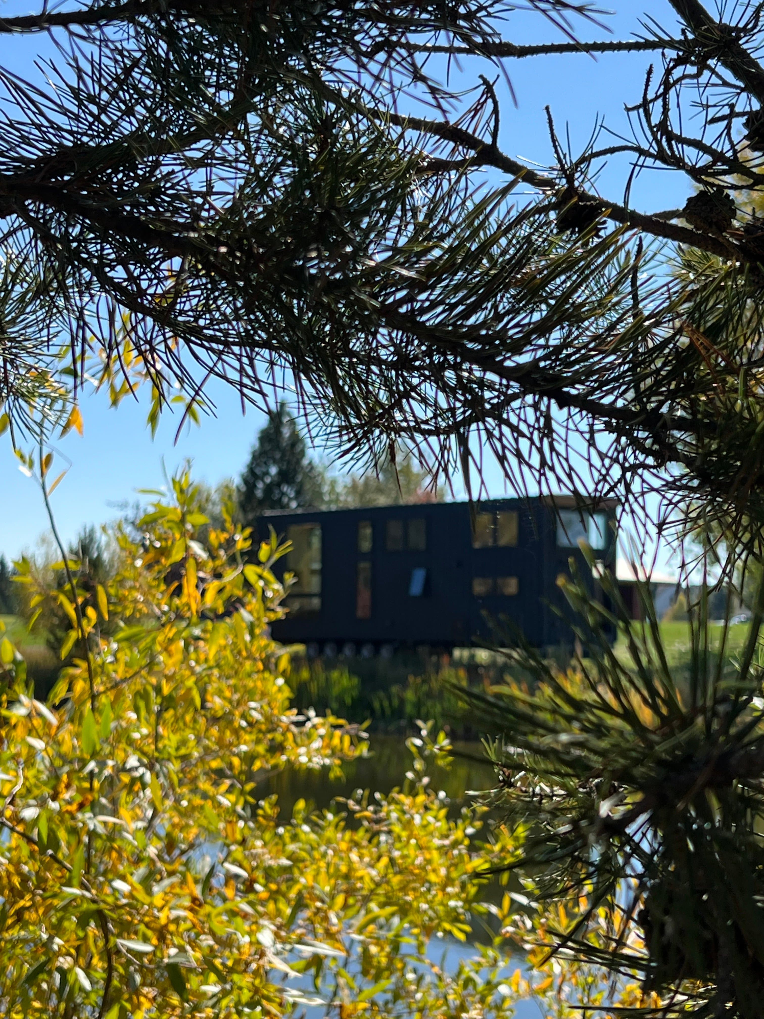 Montera modular home exterior — rear elevation with windows and utility connections